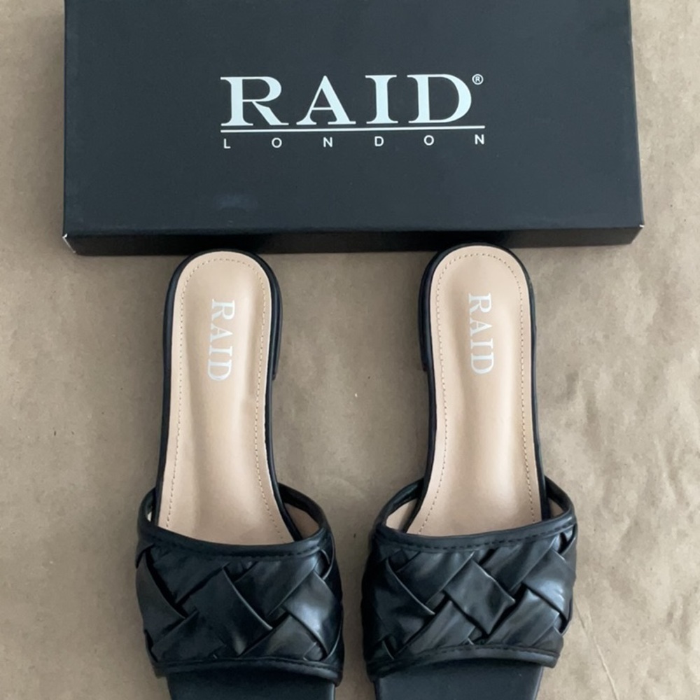 Raid London flats